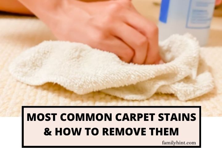 Most Common Carpet Stains