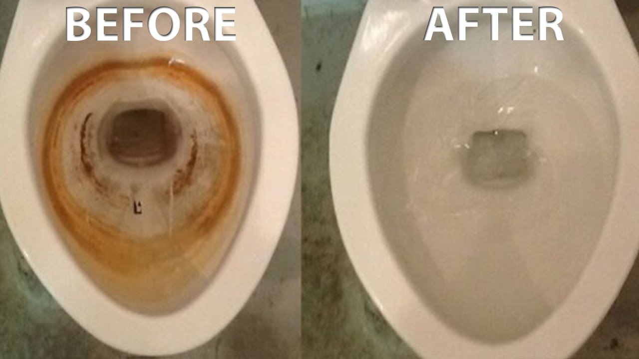 How to Get Rid of Mold in Toilet Bowl Below Water Line