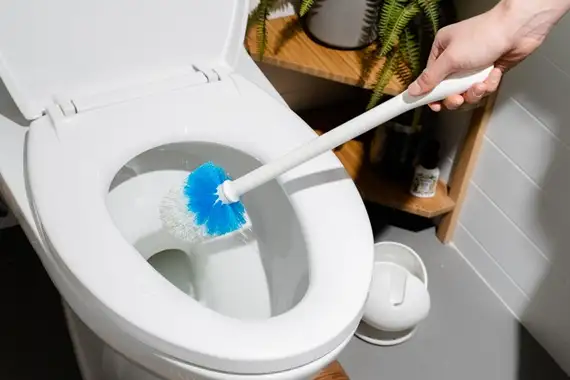 How to Get Rid of Black Mold in Toilet
