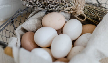how long do hard-boiled eggs last in the fridge